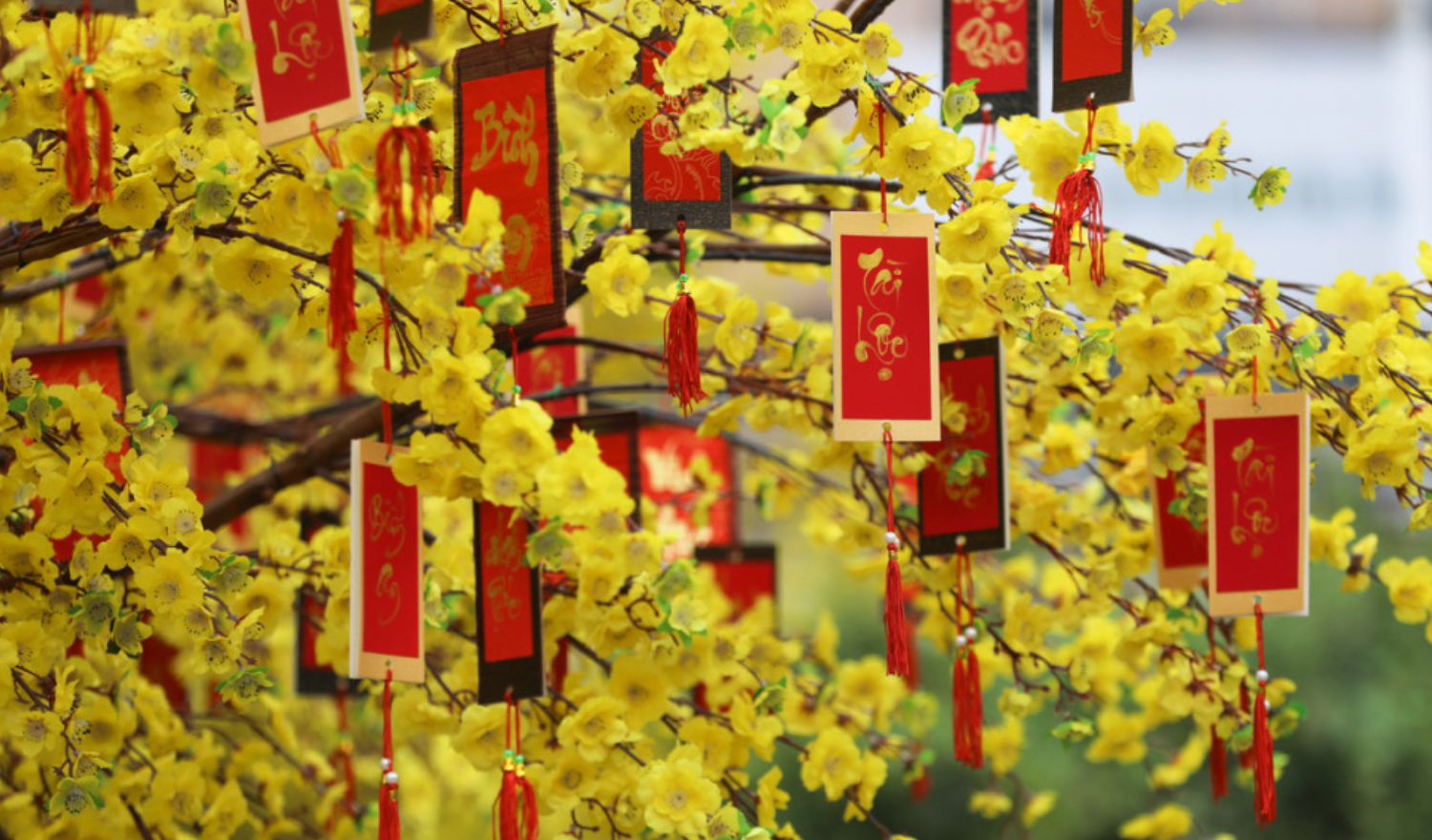 Đặt vé xe Tết Nguyên đán 2026